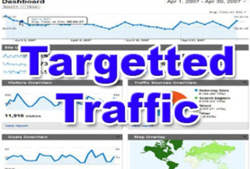 Unlimited TARGETED real human Website TRAFFIC for 6 months