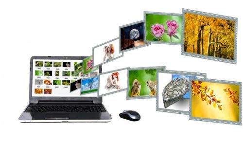 Website Content Management